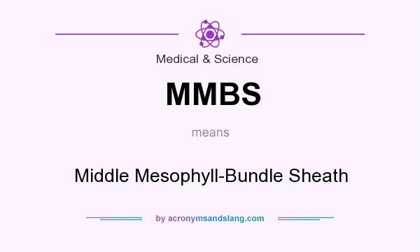 What does MMBS mean? It stands for Middle Mesophyll-Bundle Sheath