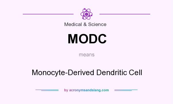 What does MODC mean? It stands for Monocyte-Derived Dendritic Cell