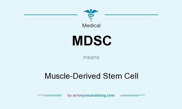 What does MDSC mean? It stands for Muscle-Derived Stem Cell