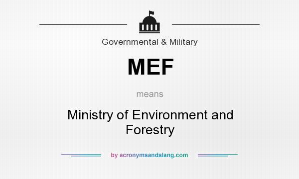 What does MEF mean? It stands for Ministry of Environment and Forestry
