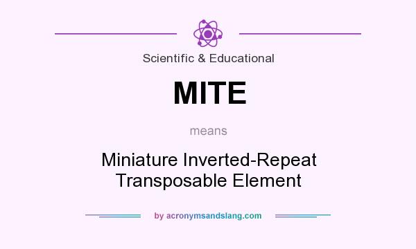 What does MITE mean? It stands for Miniature Inverted-Repeat Transposable Element
