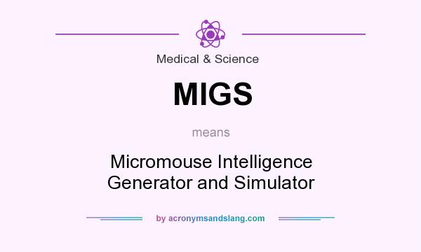 What does MIGS mean? It stands for Micromouse Intelligence Generator and Simulator