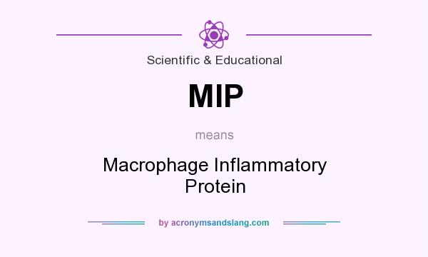 What does MIP mean? It stands for Macrophage Inflammatory Protein