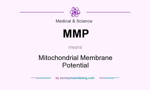 What does MMP mean? It stands for Mitochondrial Membrane Potential