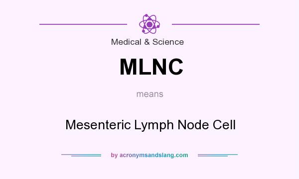 What does MLNC mean? It stands for Mesenteric Lymph Node Cell
