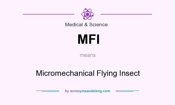 What does MFI mean? It stands for Micromechanical Flying Insect