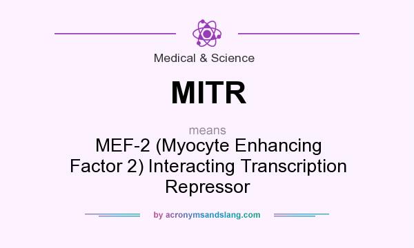 What does MITR mean? It stands for MEF-2 (Myocyte Enhancing Factor 2) Interacting Transcription Repressor