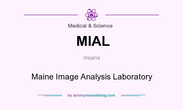 What does MIAL mean? It stands for Maine Image Analysis Laboratory