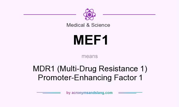 What does MEF1 mean? It stands for MDR1 (Multi-Drug Resistance 1) Promoter-Enhancing Factor 1