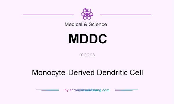 What does MDDC mean? It stands for Monocyte-Derived Dendritic Cell