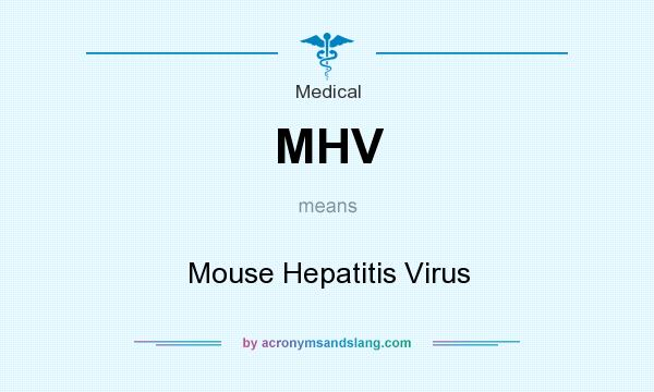 What does MHV mean? It stands for Mouse Hepatitis Virus
