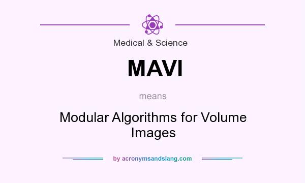 What does MAVI mean? It stands for Modular Algorithms for Volume Images