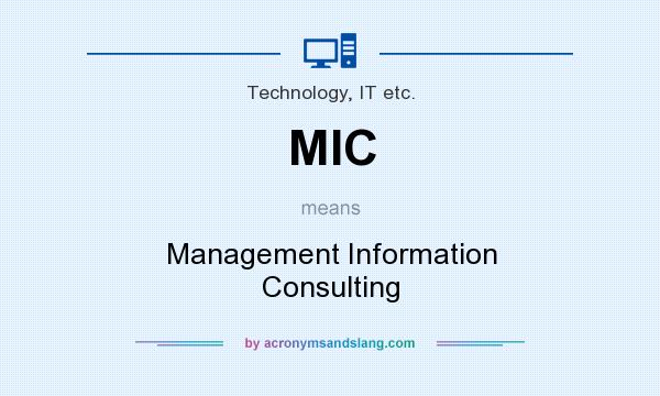 What does MIC mean? It stands for Management Information Consulting