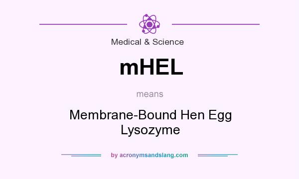 What does mHEL mean? It stands for Membrane-Bound Hen Egg Lysozyme