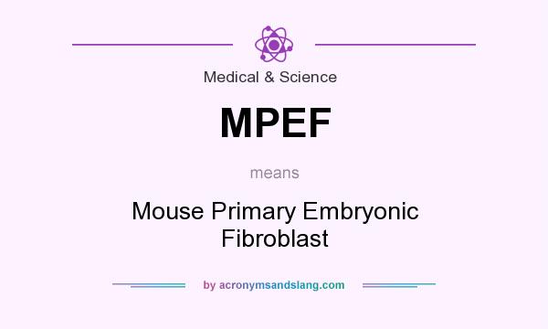 What does MPEF mean? It stands for Mouse Primary Embryonic Fibroblast
