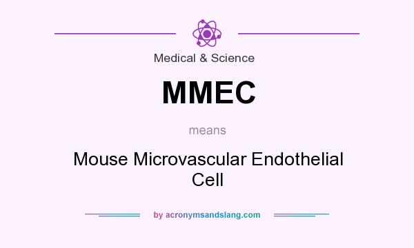 What does MMEC mean? It stands for Mouse Microvascular Endothelial Cell