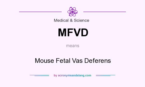 What does MFVD mean? It stands for Mouse Fetal Vas Deferens