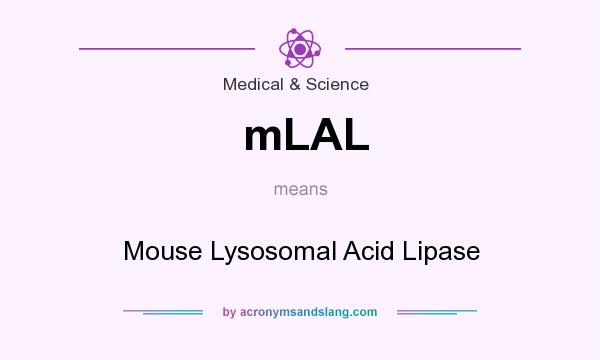 What does mLAL mean? It stands for Mouse Lysosomal Acid Lipase