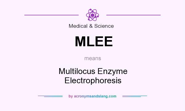 What does MLEE mean? It stands for Multilocus Enzyme Electrophoresis