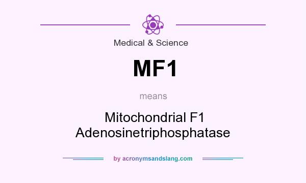 What does MF1 mean? It stands for Mitochondrial F1 Adenosinetriphosphatase