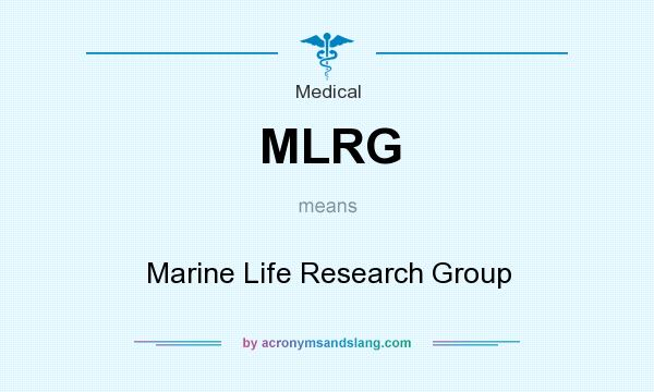 What does MLRG mean? It stands for Marine Life Research Group