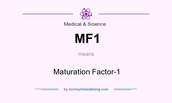 What does MF1 mean? It stands for Maturation Factor-1