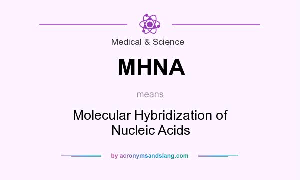 What does MHNA mean? It stands for Molecular Hybridization of Nucleic Acids