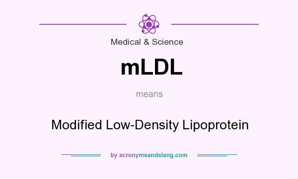 What does mLDL mean? It stands for Modified Low-Density Lipoprotein