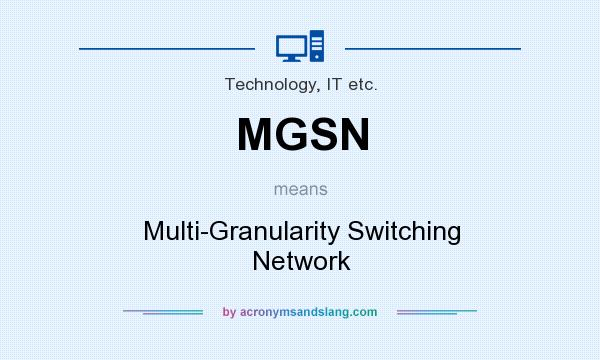 What does MGSN mean? It stands for Multi-Granularity Switching Network
