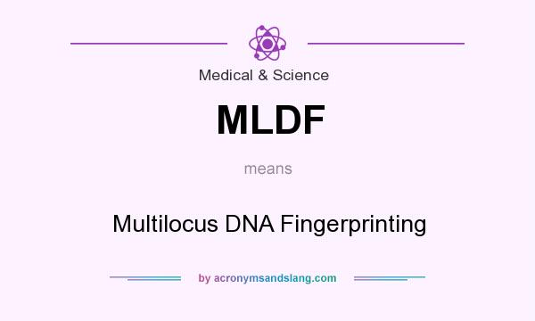 What does MLDF mean? It stands for Multilocus DNA Fingerprinting