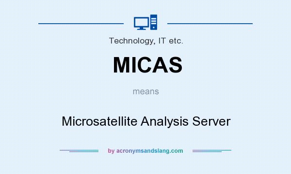 What does MICAS mean? It stands for Microsatellite Analysis Server