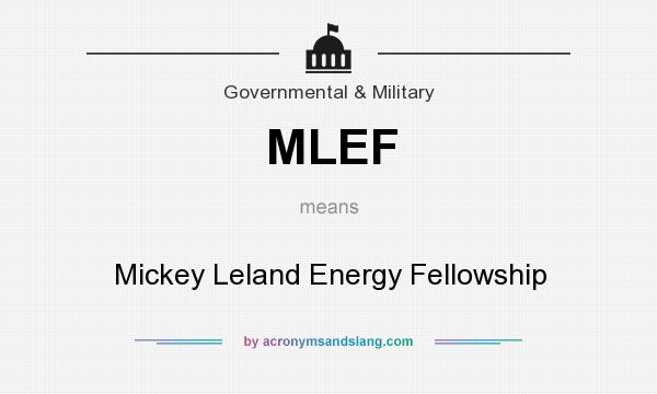 What does MLEF mean? It stands for Mickey Leland Energy Fellowship