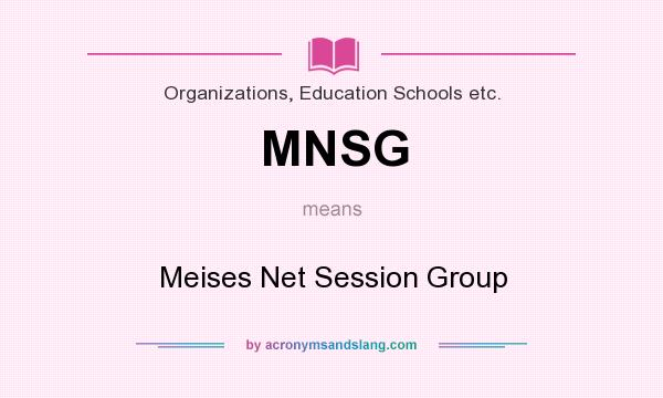 What does MNSG mean? It stands for Meises Net Session Group