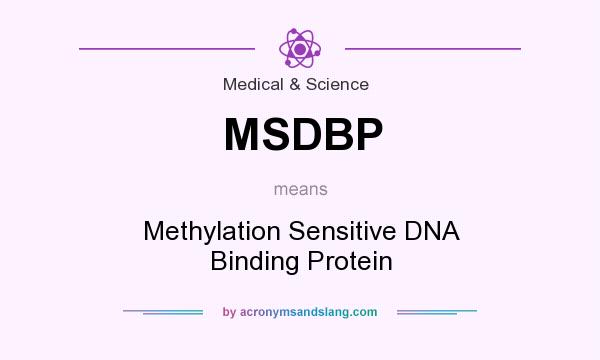 What does MSDBP mean? It stands for Methylation Sensitive DNA Binding Protein