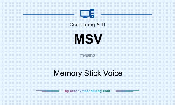 What does MSV mean? It stands for Memory Stick Voice
