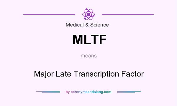 What does MLTF mean? It stands for Major Late Transcription Factor