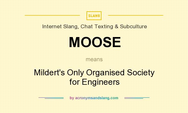What does MOOSE mean? It stands for Mildert`s Only Organised Society for Engineers