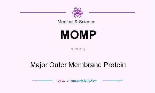 What does MOMP mean? It stands for Major Outer Membrane Protein