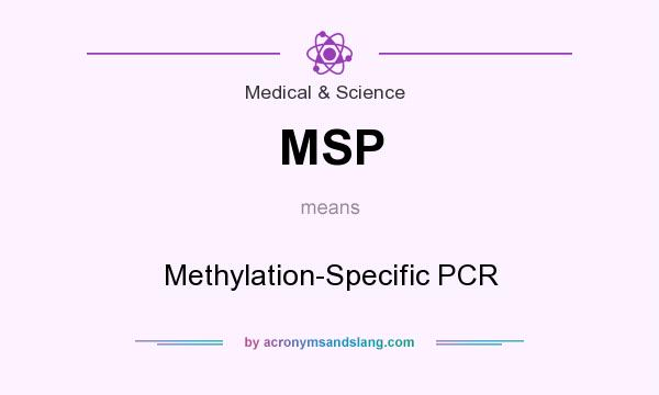 What does MSP mean? It stands for Methylation-Specific PCR