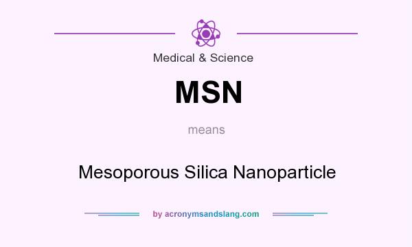 What does MSN mean? It stands for Mesoporous Silica Nanoparticle
