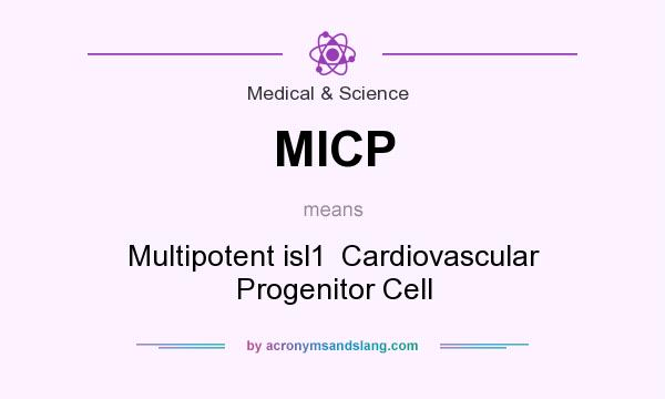 What does MICP mean? It stands for Multipotent isl1  Cardiovascular Progenitor Cell