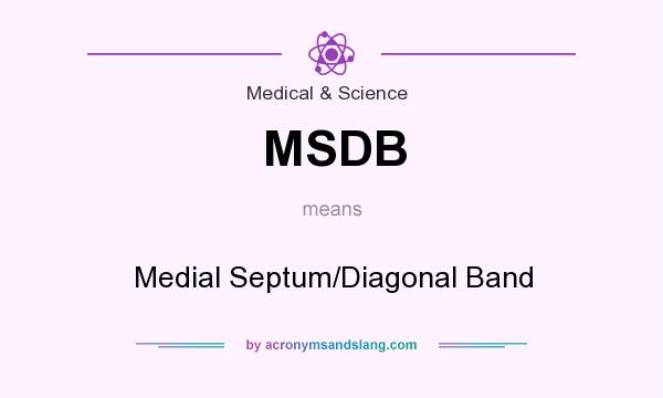 What does MSDB mean? It stands for Medial Septum/Diagonal Band