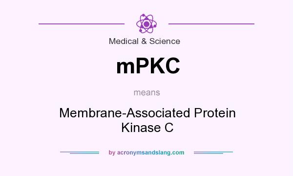What does mPKC mean? It stands for Membrane-Associated Protein Kinase C