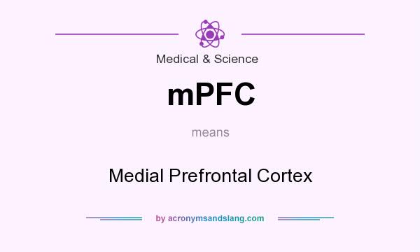 What does mPFC mean? It stands for Medial Prefrontal Cortex
