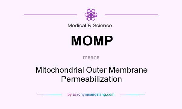 What does MOMP mean? It stands for Mitochondrial Outer Membrane Permeabilization