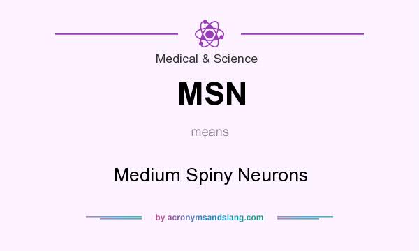 What does MSN mean? It stands for Medium Spiny Neurons
