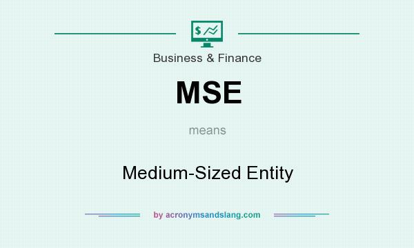 What does MSE mean? It stands for Medium-Sized Entity