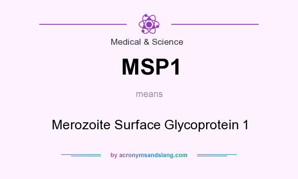 What does MSP1 mean? It stands for Merozoite Surface Glycoprotein 1