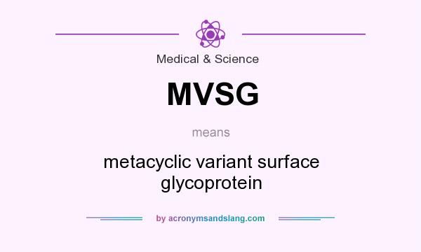 What does MVSG mean? It stands for metacyclic variant surface glycoprotein