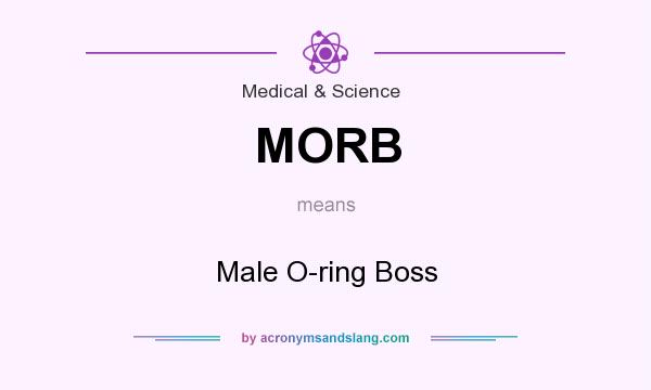 What does MORB mean? It stands for Male O-ring Boss